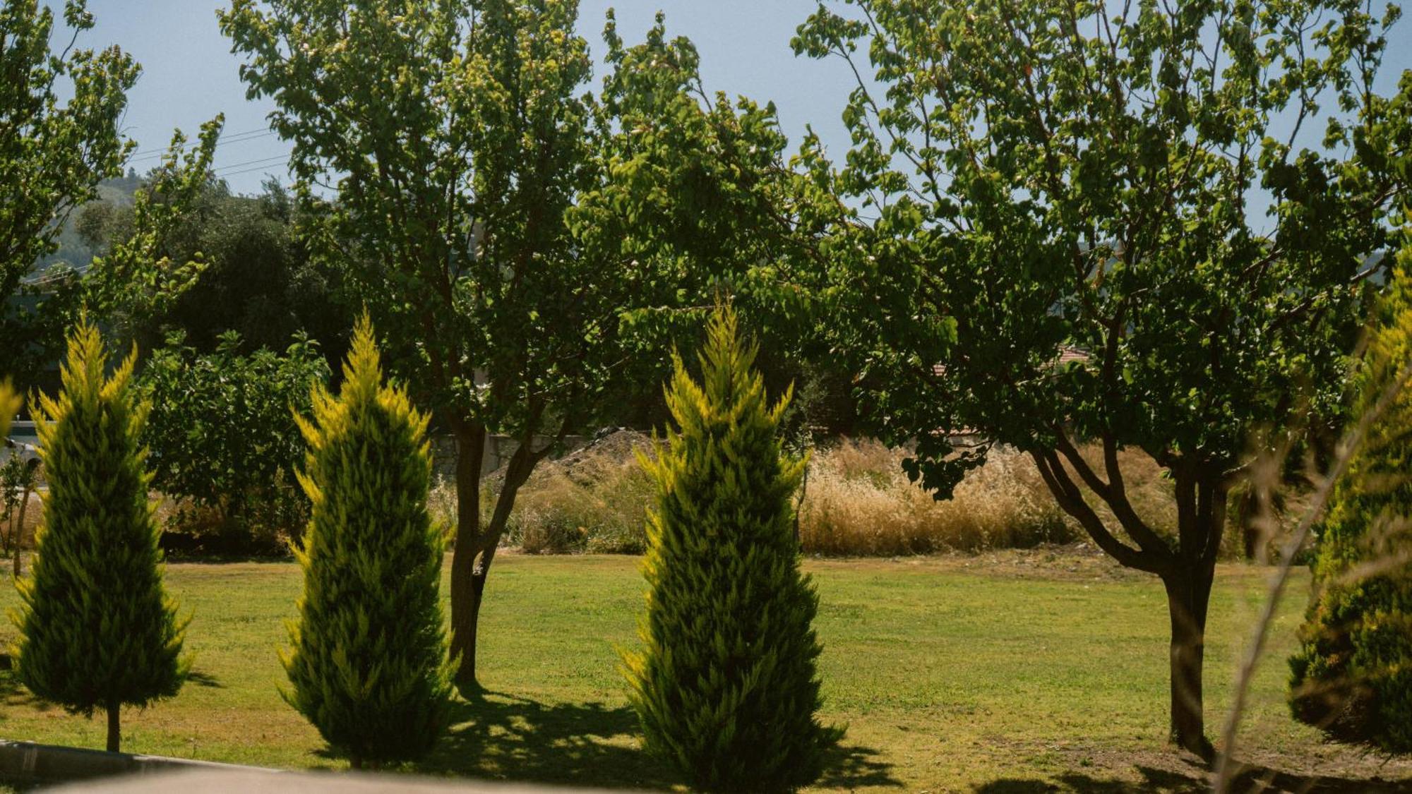 Vela Garden Resort Çeşme 외부 사진